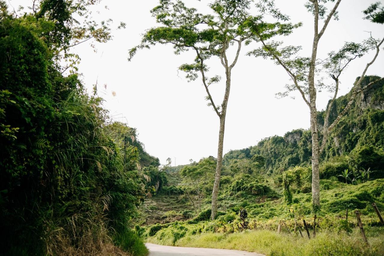 150 Peakway Mountain Resort Dalaguete Eksteriør billede