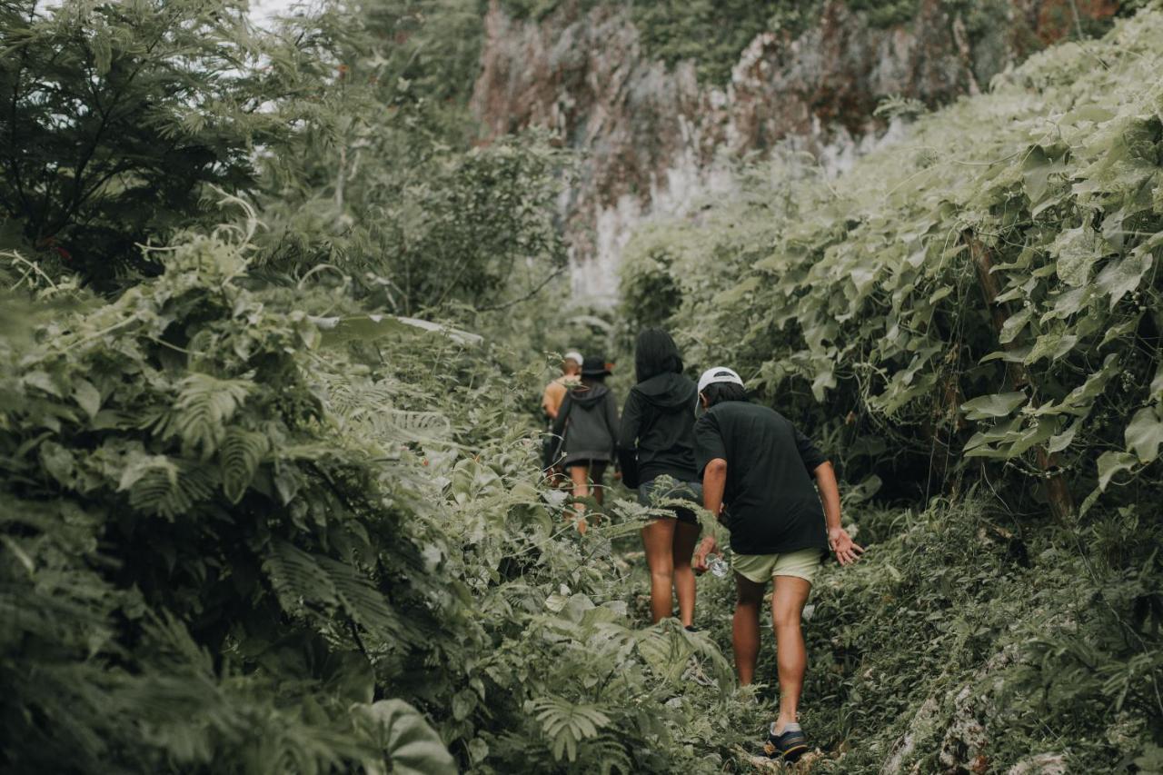 150 Peakway Mountain Resort Dalaguete Eksteriør billede