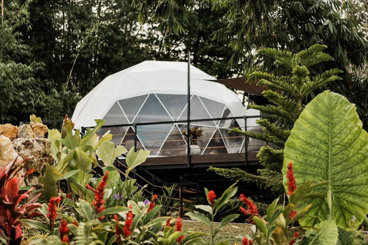 150 Peakway Mountain Resort Dalaguete Eksteriør billede