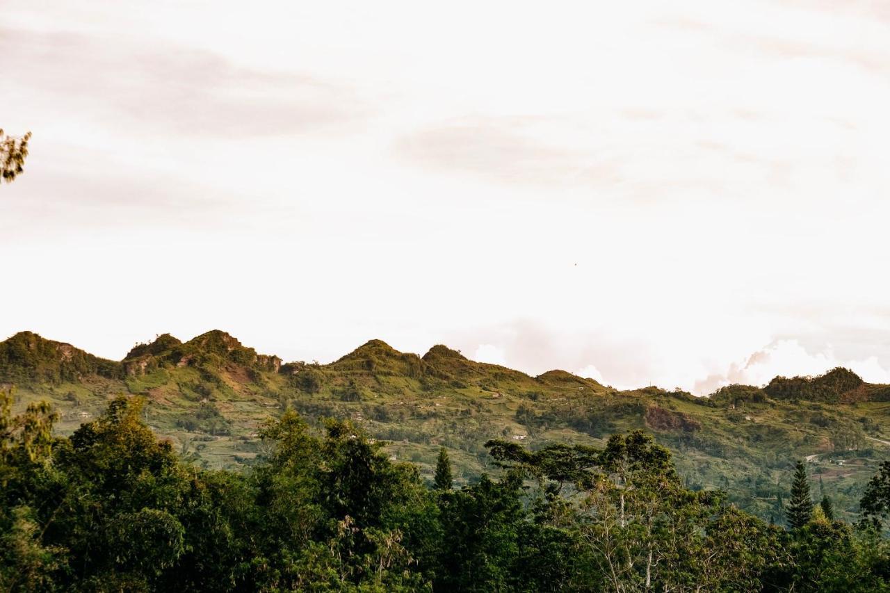 150 Peakway Mountain Resort Dalaguete Eksteriør billede